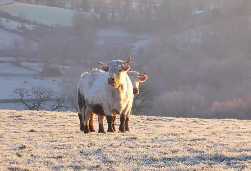 ベッドアンドブレックファースト La Roulotte De Lola   Chambre D Hôtes