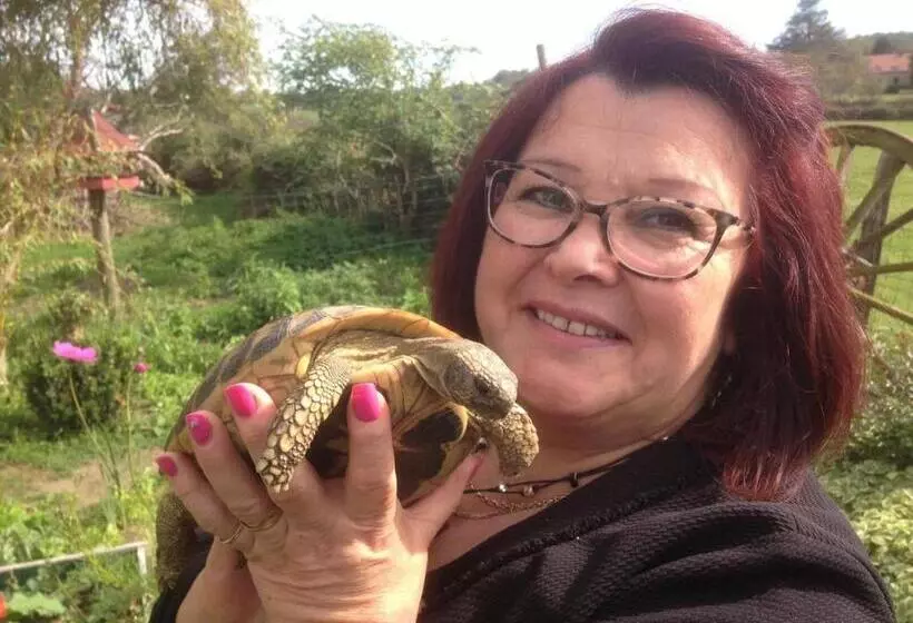 ベッドアンドブレックファースト La Roulotte De Lola   Chambre D Hôtes