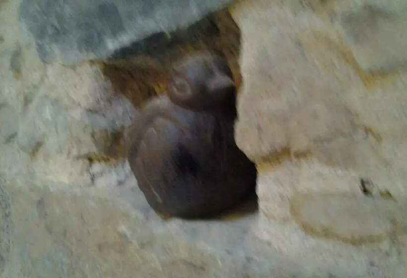 ベッドアンドブレックファースト Le Clos Du Merle