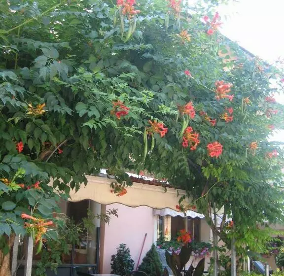 Hotelli Albergo Ristorante Sterlina