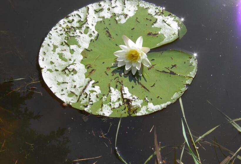 فندق Fledermausschloss