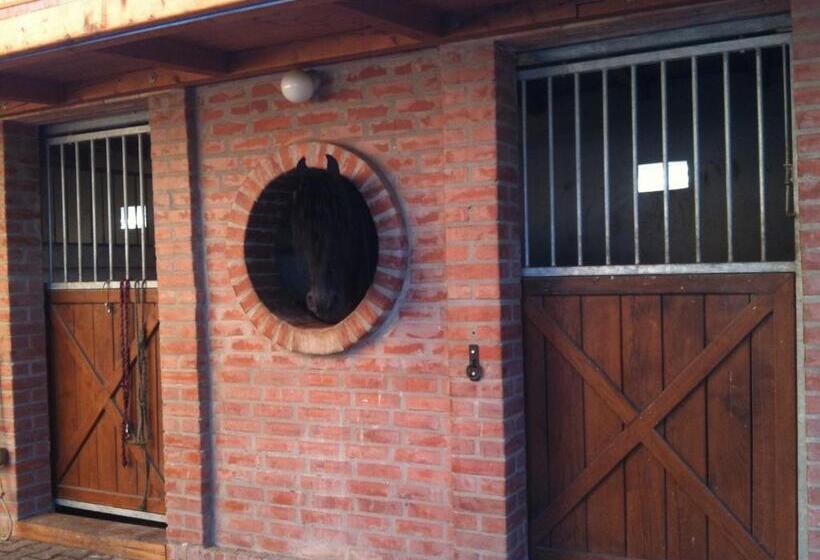 فندق على الطريق Berényi Fogadó