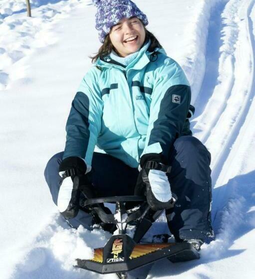 ペンション Vreni's Gästezimmer