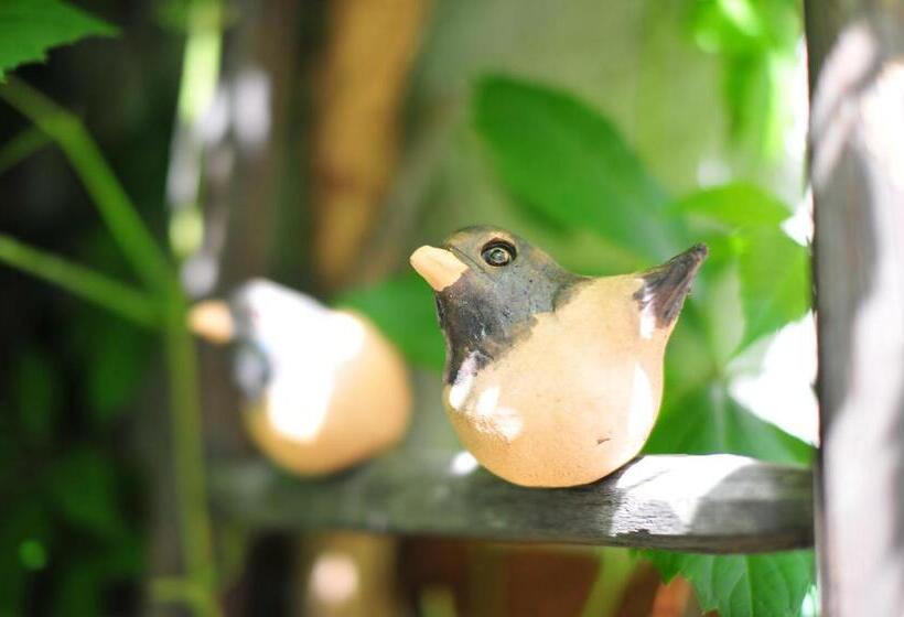 Pension / Ferienwohnungen Scheid