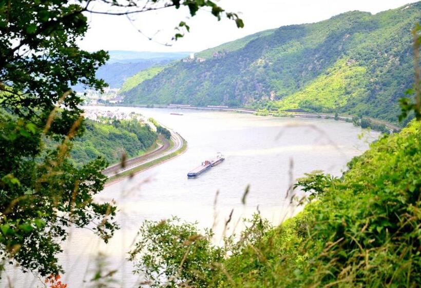 Pension / Ferienwohnungen Scheid