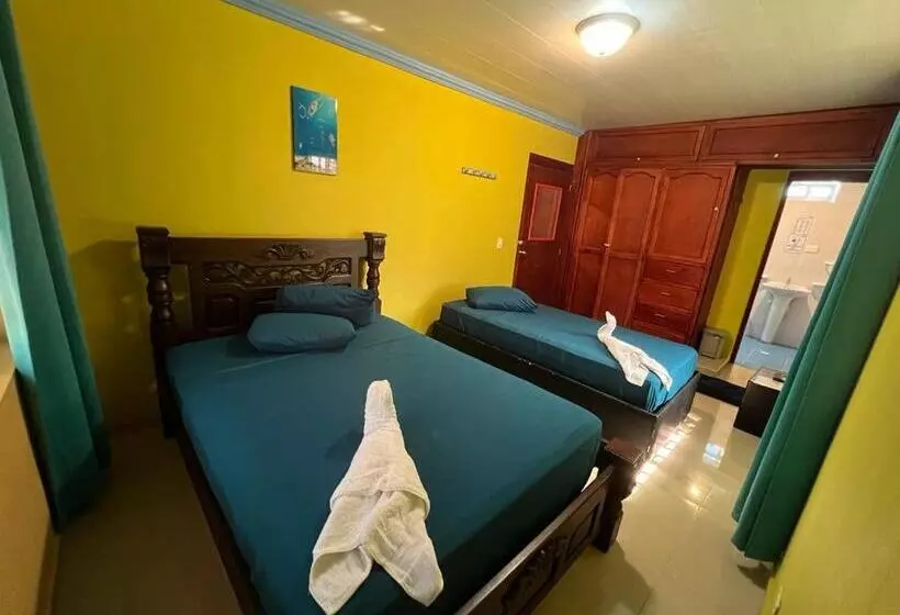 هاستل Posada Faych House