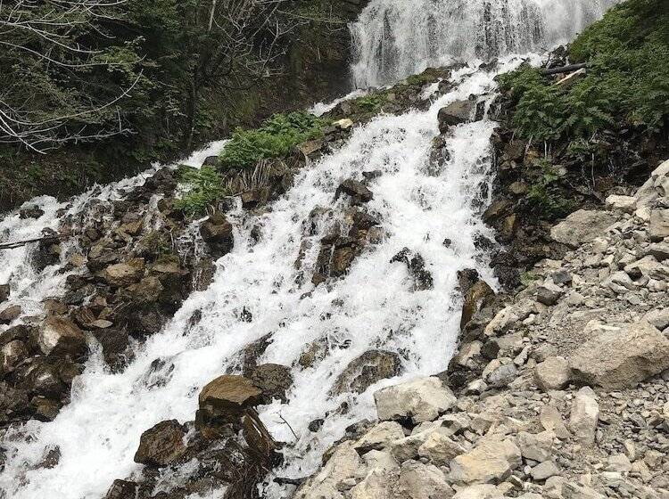 Bed and Breakfast Il Giardino Degli Elfi