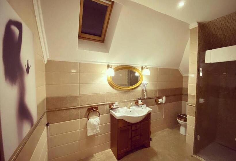 酒店 Bulevard Sighisoara