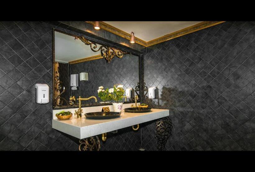 酒店 Bulevard Sighisoara