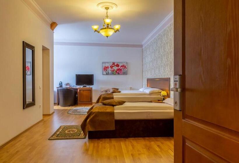 酒店 Bulevard Sighisoara