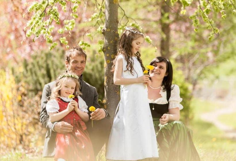 Отель Garni Schneider