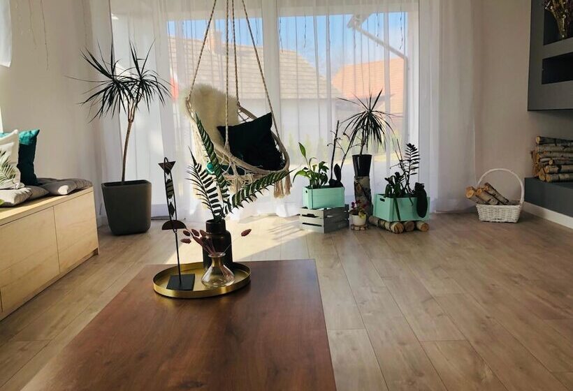 پانسیون Borek