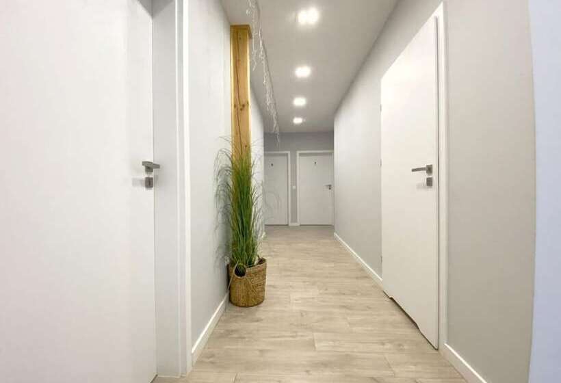 پانسیون Borek