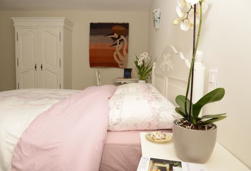 Пансион Mas De Carabelle