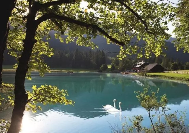 Pension Zum Wilden Hannes