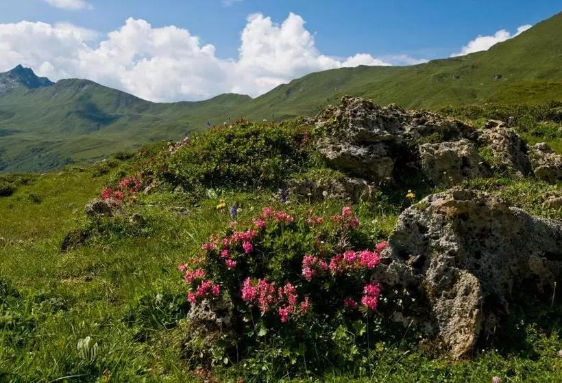 Pension Zum Wilden Hannes