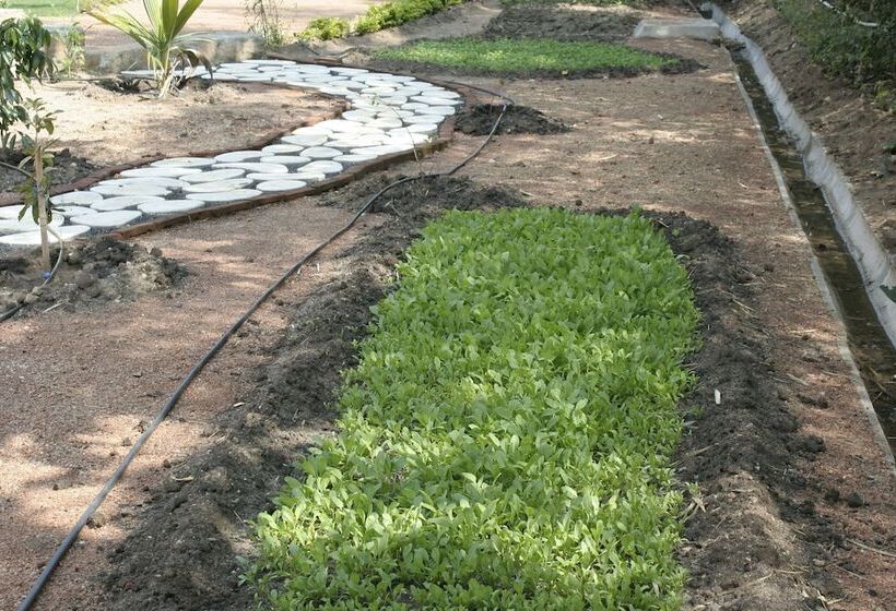 Курорт Tathastu Pench