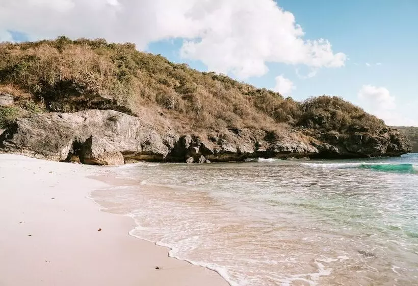 ベッドアンドブレックファースト Baha Baha Villas