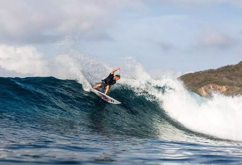 ベッドアンドブレックファースト Baha Baha Villas