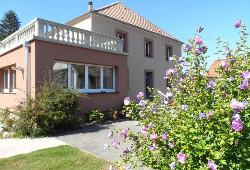 ベッドアンドブレックファースト Maison Curiale