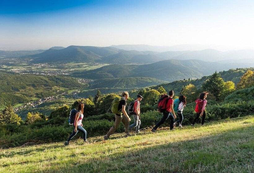 ベッドアンドブレックファースト Maison Curiale