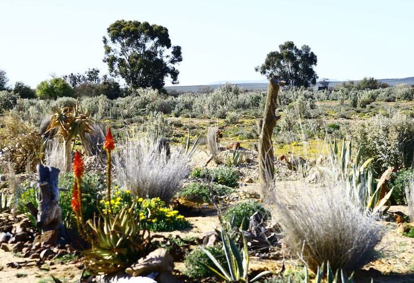 فندق Inverdoorn Game Reserve Lodge