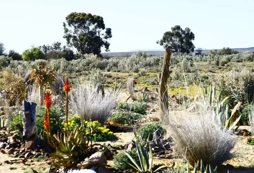 Hotelli Inverdoorn Game Reserve Lodge