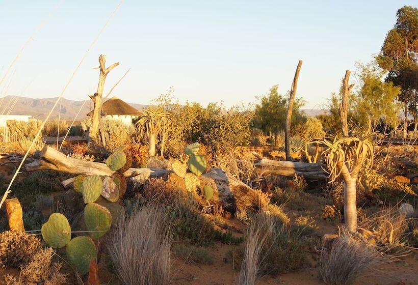 فندق Inverdoorn Game Reserve Lodge