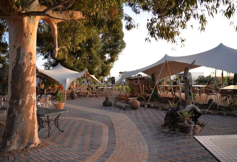 فندق Inverdoorn Game Reserve Lodge