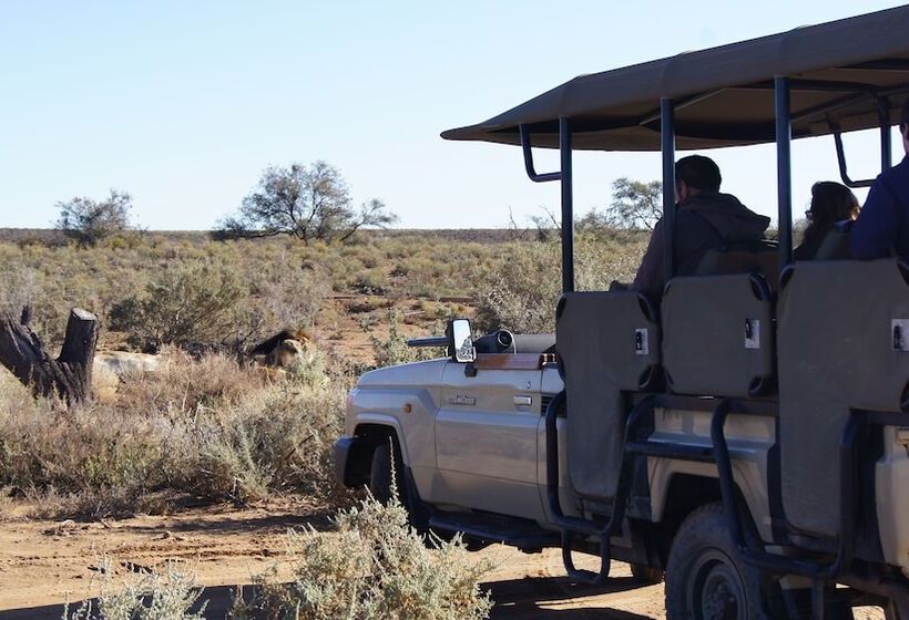 فندق Inverdoorn Game Reserve Lodge