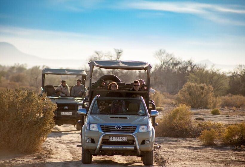 فندق Inverdoorn Game Reserve Lodge