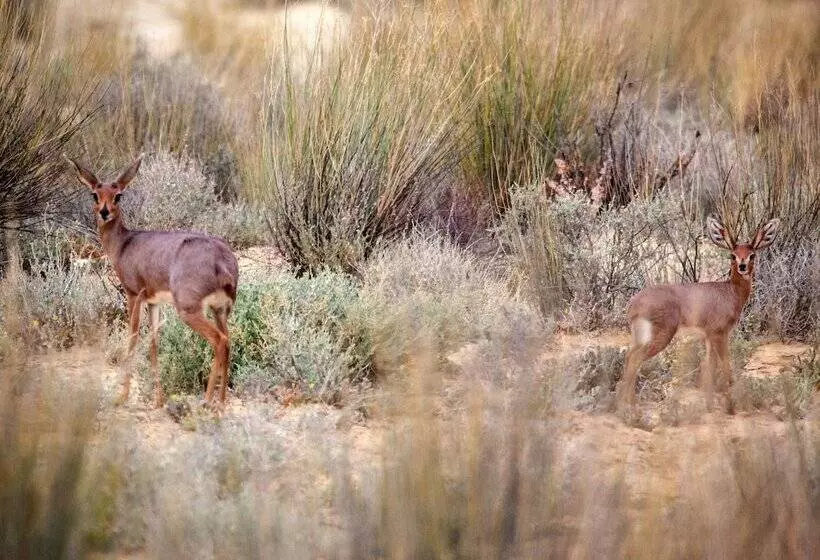Hotelli Inverdoorn Game Reserve Lodge