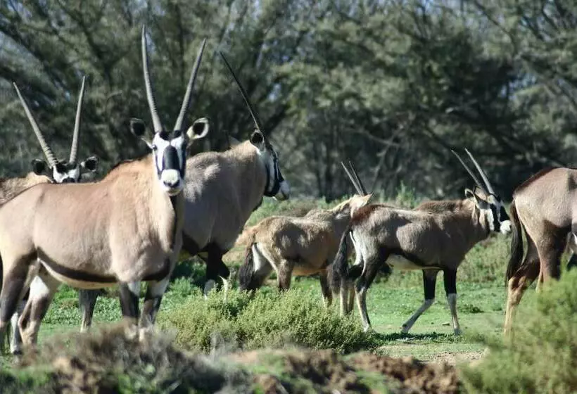 Hotelli Inverdoorn Game Reserve Lodge