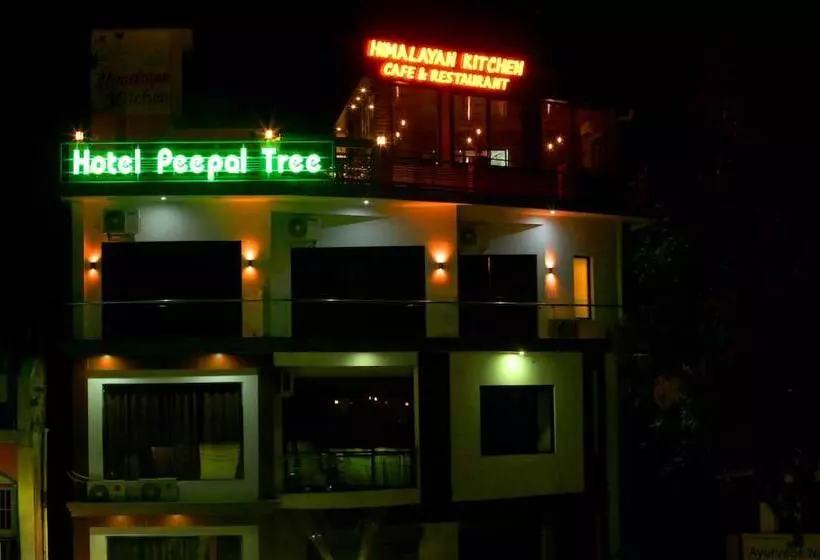 Hotel Peepal Tree