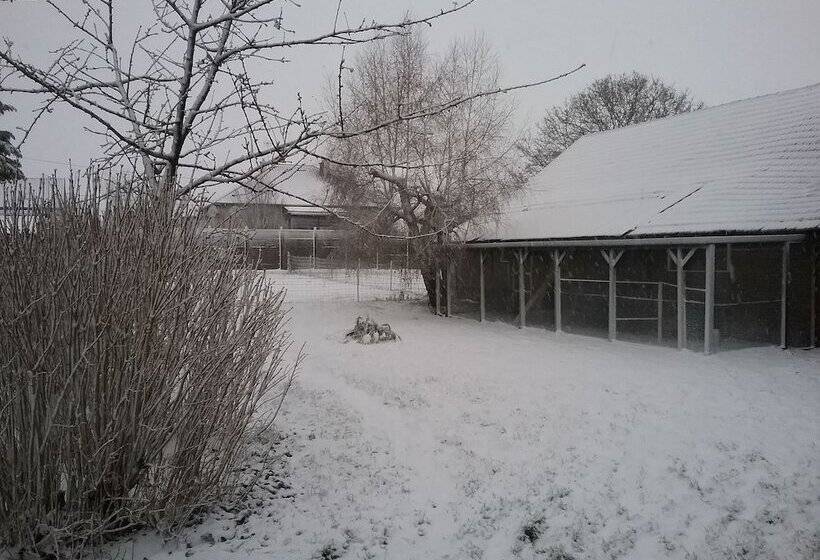 פנסיון Chambre D Hotes  Coquelicot