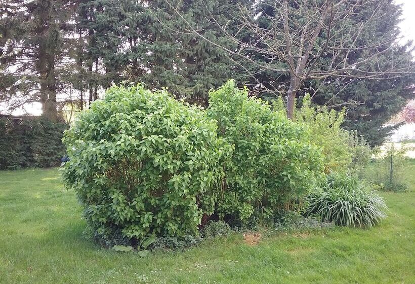 פנסיון Chambre D Hotes  Coquelicot