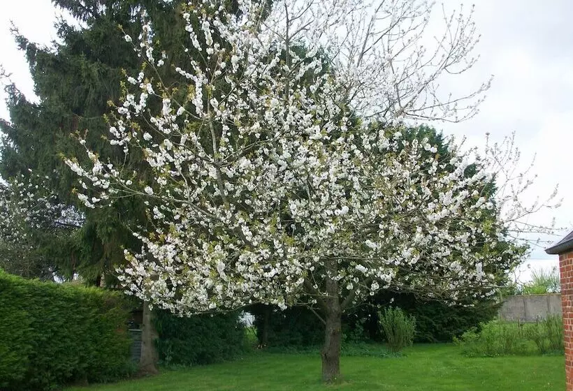 ペンション Chambre D Hotes  Coquelicot