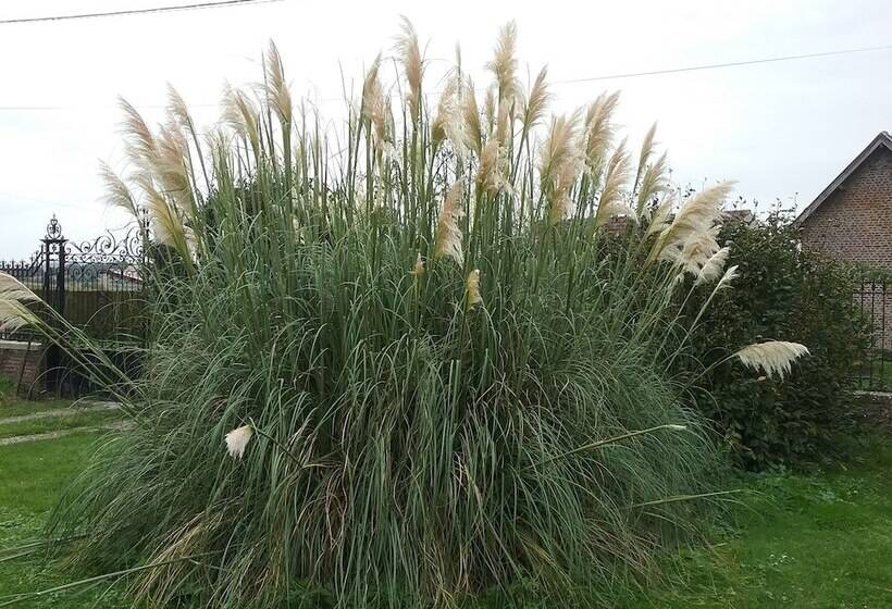 פנסיון Chambre D Hotes  Coquelicot