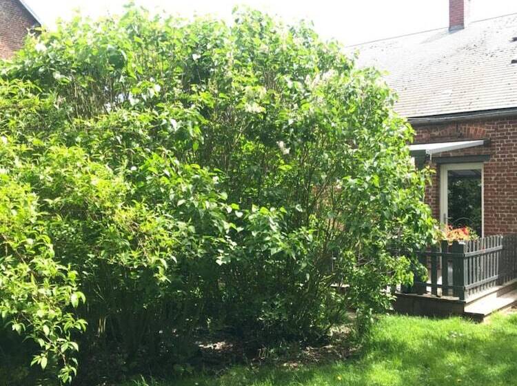 פנסיון Chambre D Hotes  Coquelicot