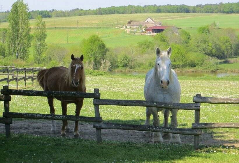 פנסיון Domaine De La Mouthe