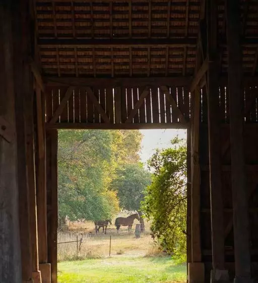 ペンション Chambre D Hôtes Fantesstique