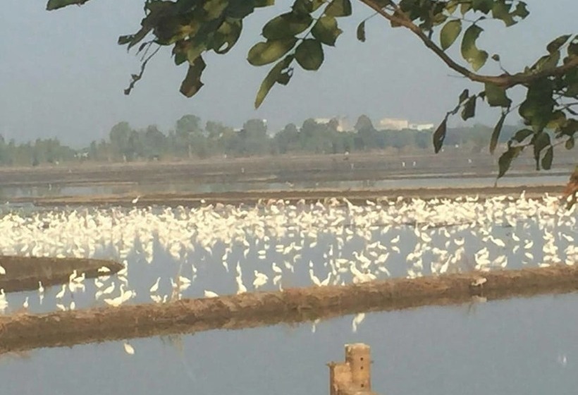 Pensão Punna Homestay @ Bangsai