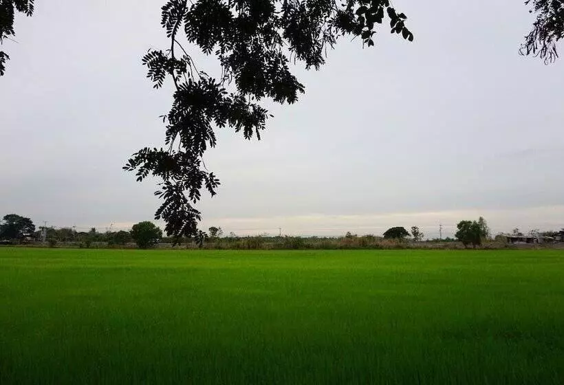 Majatalo Punna Homestay @ Bangsai