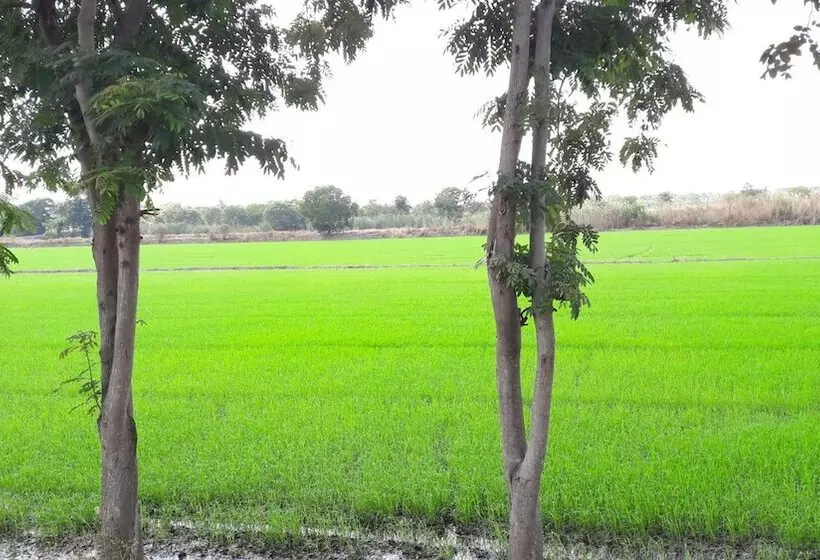 Majatalo Punna Homestay @ Bangsai