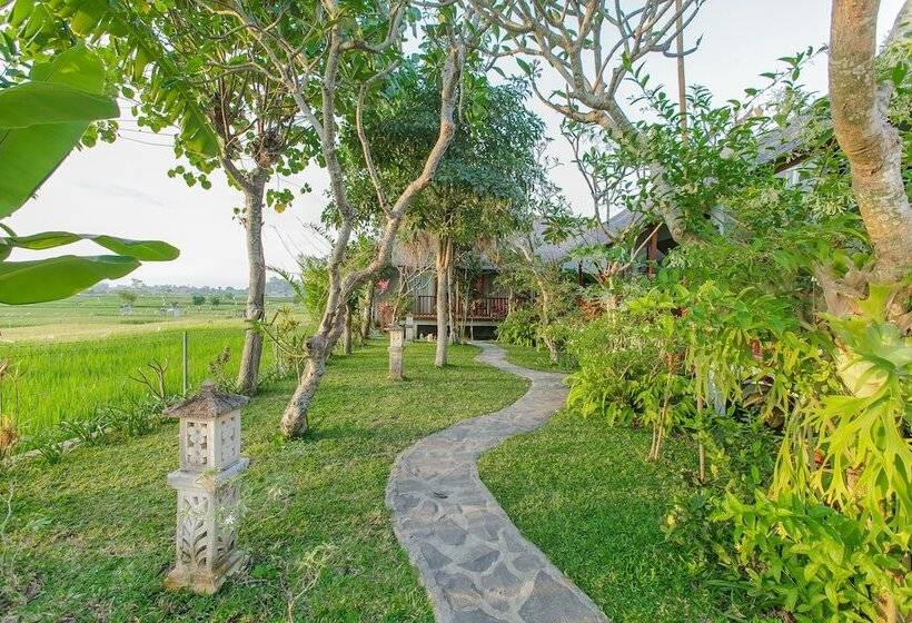 膳宿费 Villa D'carik Bali