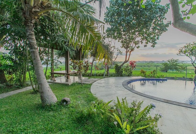 膳宿费 Villa D'carik Bali