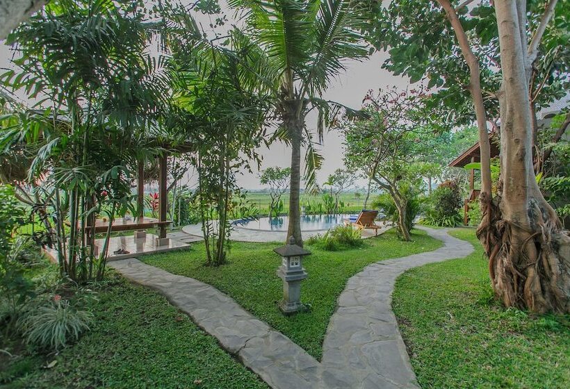 膳宿费 Villa D'carik Bali