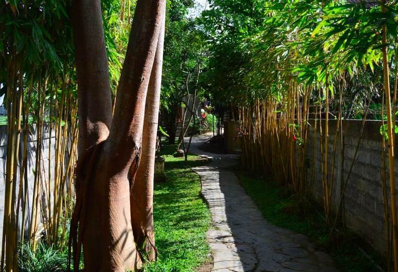 膳宿费 Villa D'carik Bali