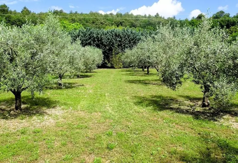 ベッドアンドブレックファースト La Bastide Des Roses