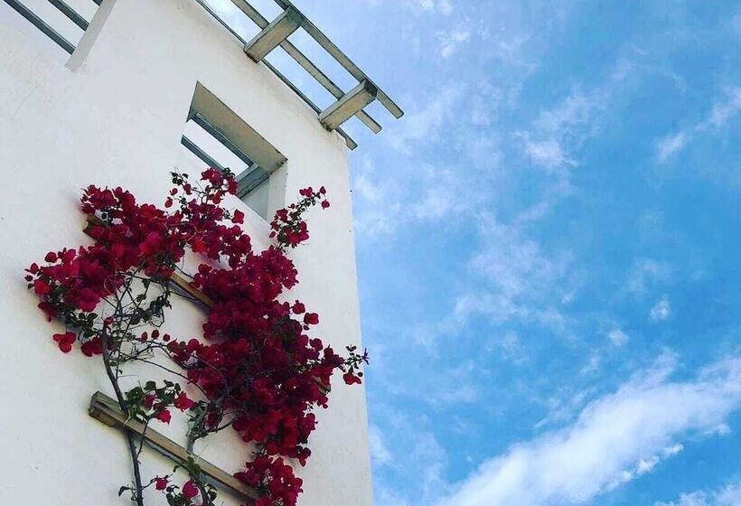 田舎風ホテル Agriturismo Masseria Cannella